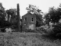 pauvre-magicien:  LaToya Ruby Frazier