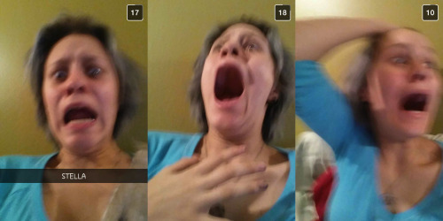 adiostoreadumb:   Today in Snapchat News: I scared the shit out of Ceb. First row is my snaps and second row is Ceb’s response to each one. 