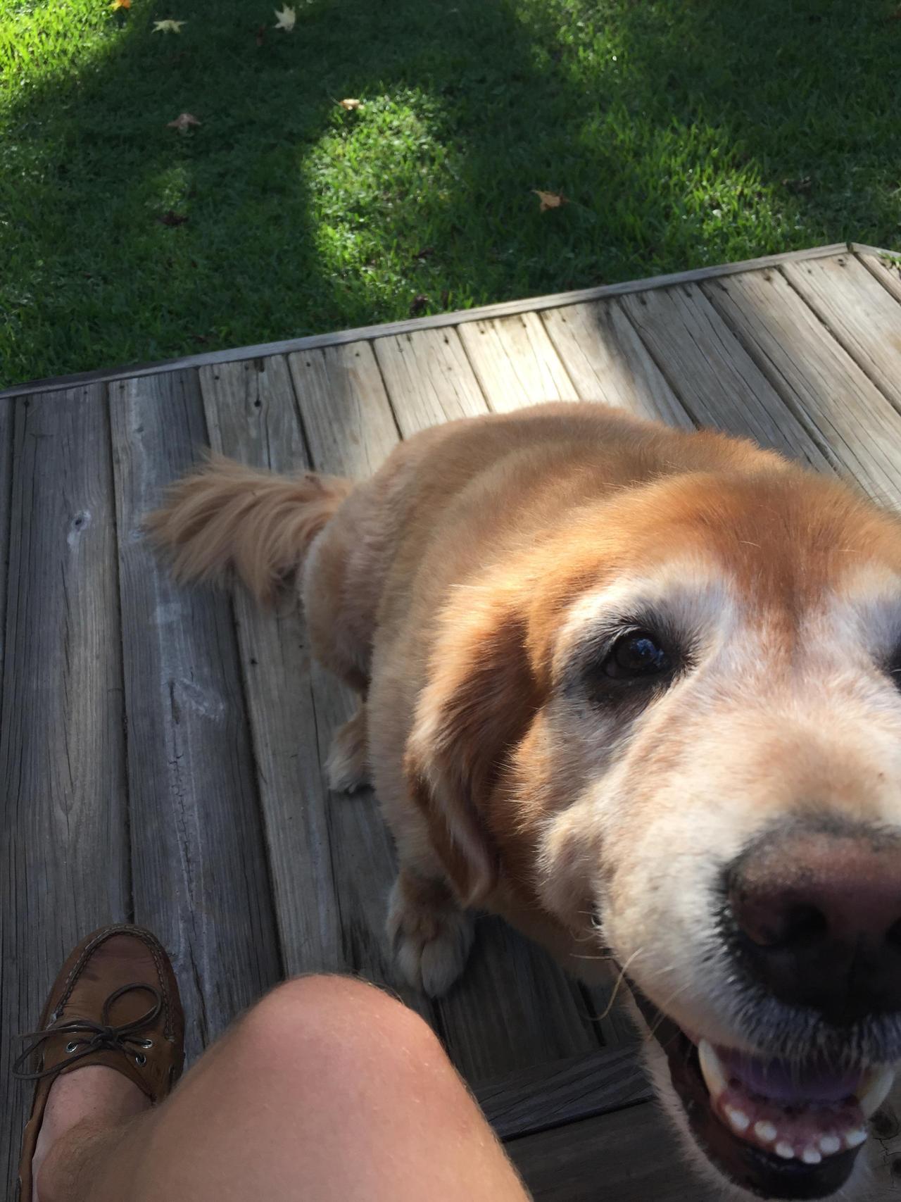 awwww-cute:  He’s an old man ya, but he’s the cutest old man anyone could ask
