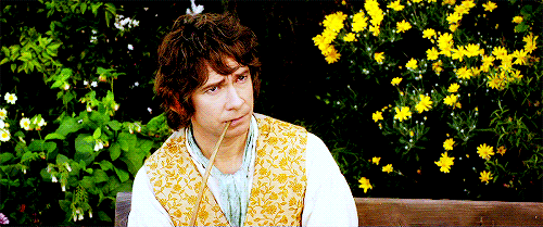 iamnevertheone:  No, I don’t imagine anyone west of Bree would have much interest