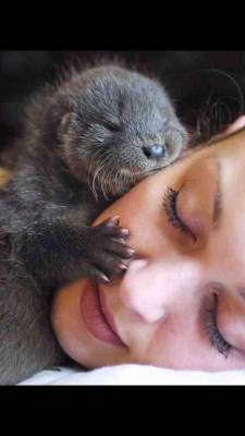 awwww-cute:  Hug from an otter