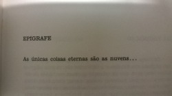 Por que raios a gente tem de romantizar as coisas?