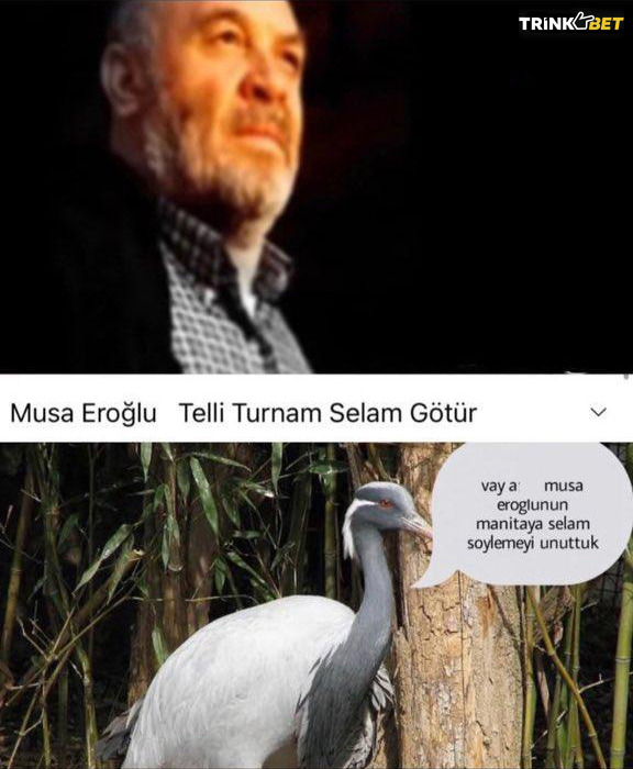 Musa Eroğlu Telli Turnam...