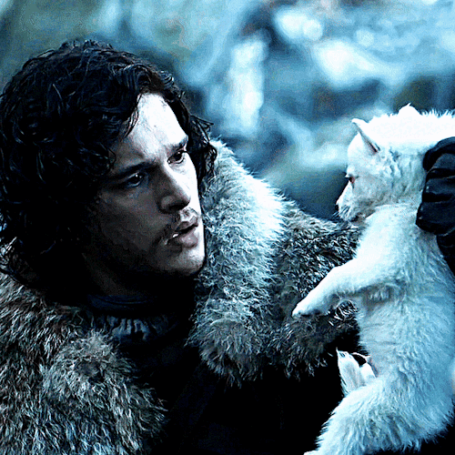 JON SNOW And ROBB STARK Game Of Thrones (2011-2019) 1.01