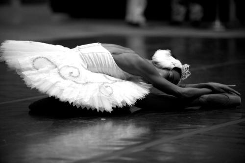 XXX seeselfblack:  The Essence of Soul and Grace: photo