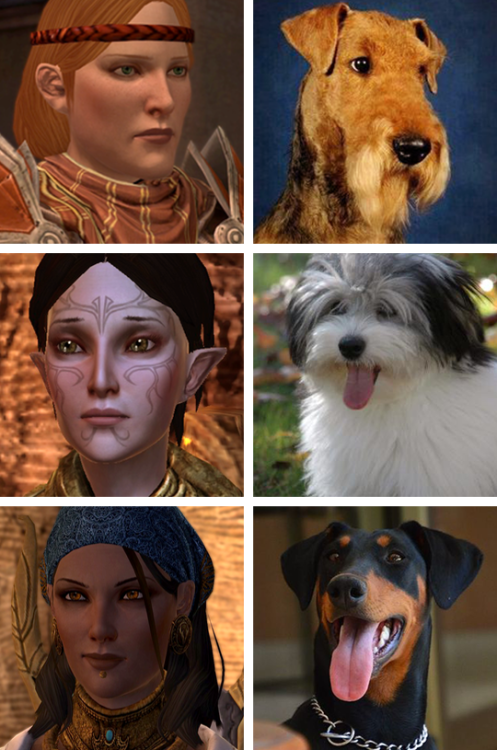 little-black-otter: Added some Inquisition doggos now that I’ve finished the game. Here i