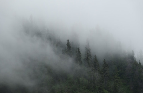 bloganlive: Near Twin Lakes