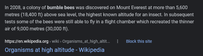 jackdoe:nonenosome:funnytwittertweets:So I had to look this up and was honestly surprised.Bees can fly at 30,000 feet and have been found on Everest was not something I expected to learn today.