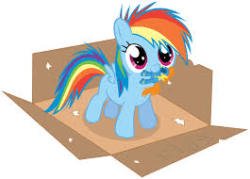 hurricanedash:  ask-recordspinner:  hurricanedash:  Filly dash Rp: (Can be nsfw if you want) Dashie: *in a box with a little wonderbolt toy in my mouth, the box says free*  *walking by and sees the box*HM?*he walks up to it*  *the box says free on it*