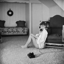 missaudreyhepburn:  Audrey Hepburn photographed