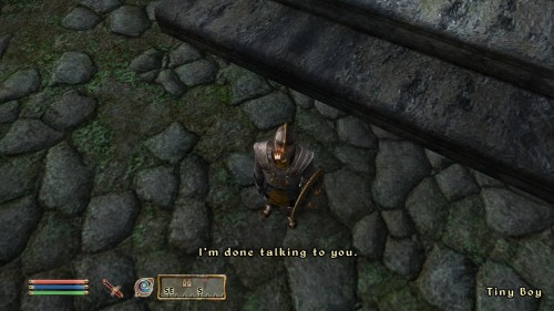 garbage-wizard:So I started a new game in Oblivion but I messed around with console commands at the 