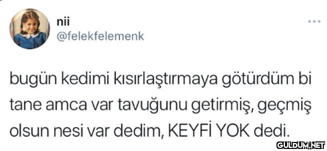 nii @felekfelemenk bugün...