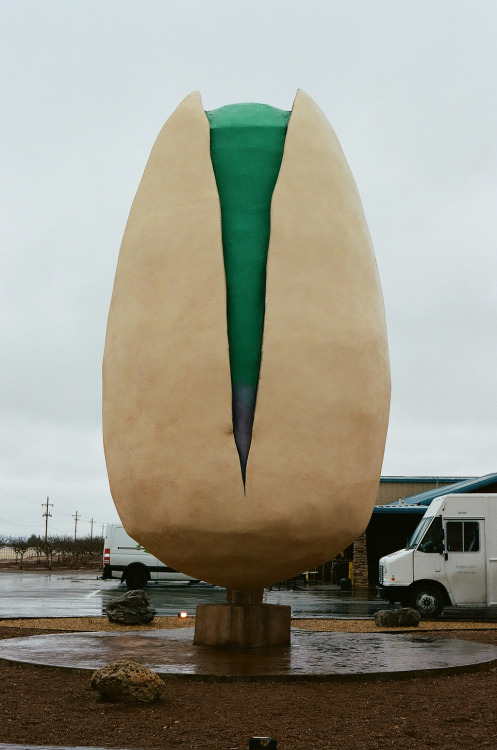 arsnof: dcci:World’s Largest Pistachio New Mexico | February 2020Images shot by me (dcci) with a Can