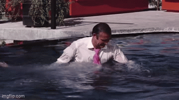 cb48e73af67b812302b5ef86e9b7dfd4c04bdeed.gifv