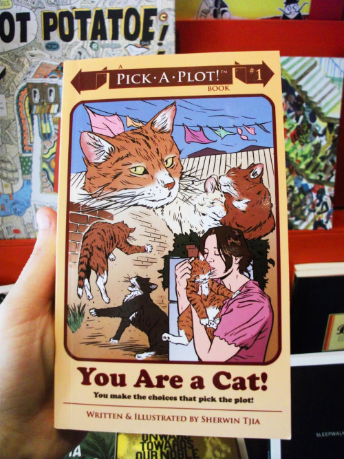 fantasticcatadventures: Finally, a book for me! 