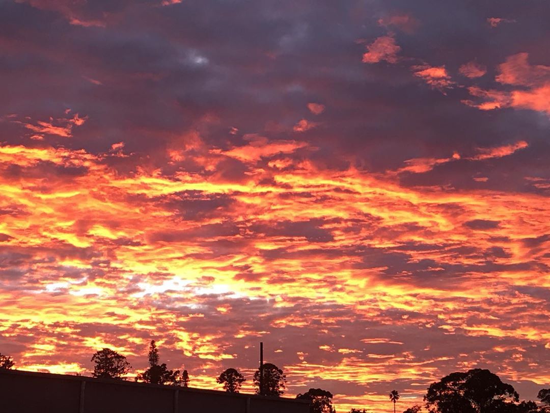 What a Cracker of a morning #nofilter (at Telarah railway station)
https://www.instagram.com/p/Bw7wQpbAKKb/?utm_source=ig_tumblr_share&igshid=j3f5k2k0j1xb