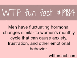 wtf-fun-factss:  Do men have periods? male