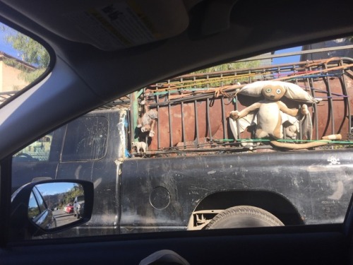 bryankonietzko:My spouse spotted this familiar face in LA today and took this photo. (I added the zo