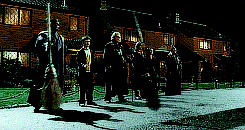 mswarrner:  Every great wizard in history has started out as nothing more than what we are now: stud
