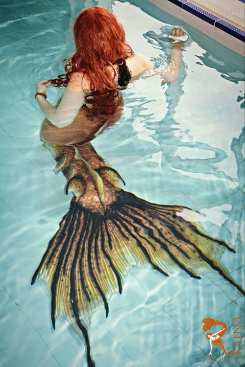 www.mermaidraina.com