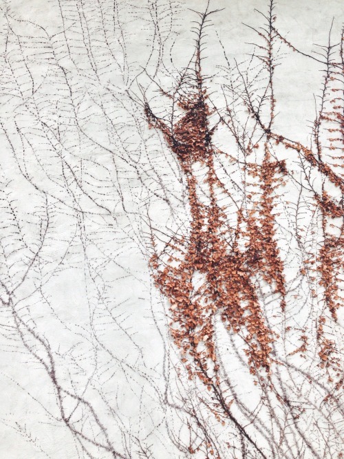 danielodowd:  parysch