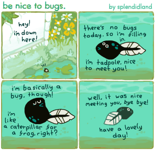benicetobugs:015