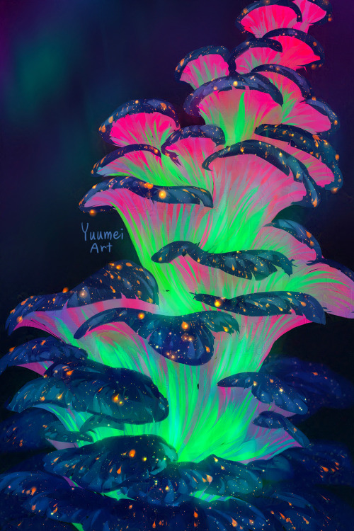 Deep Space Morel