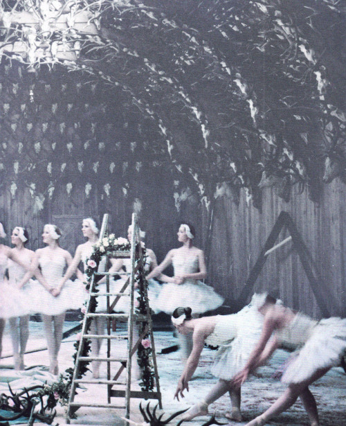 deprincessed:Dreamy portrait of young ballerinas (of the Ballet West) as cygnets in motion as they p