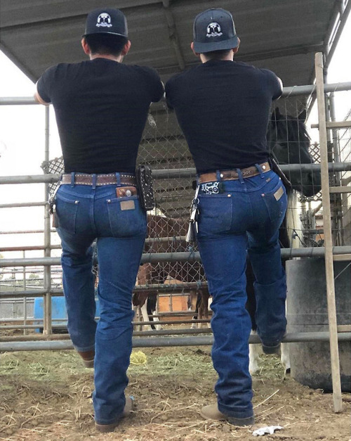 thewranglerbutts: Wrangler The Sexiest Jeans Ever MadeWrangler Butts drive us nutsFOLLOW ME:t