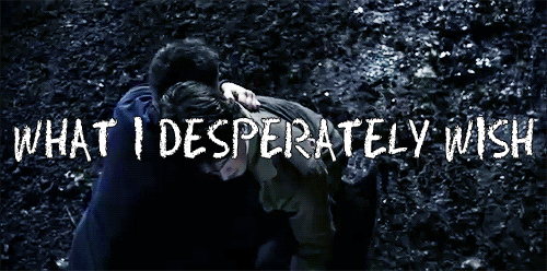 winchestewhore:winchester101:shercockandmycrotch:(x)one of the most accurate things ive ever readthe