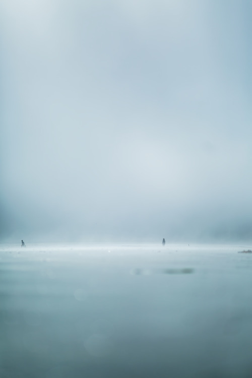 thepictorialist:Foggy day on the beach.—WA Coast 2014