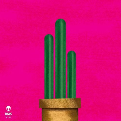• Cactus • . . . . . . #illustrate #illustration #drawing #painting #draw #drawings #drawingoftheday