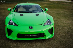 hilgramphoto:  LFA