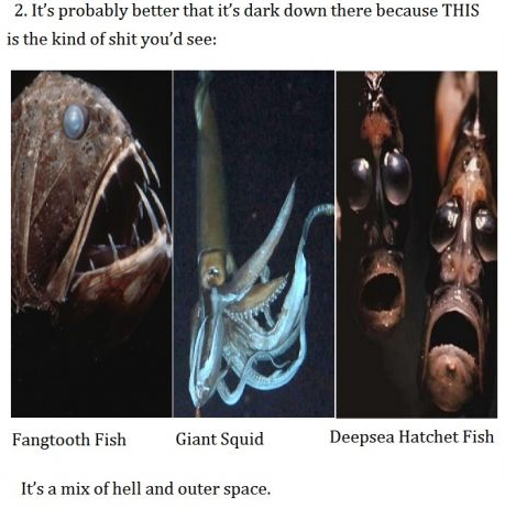 thefuuuucomics:  i’m glad the shit that lives in the ocean lacks the ability to leave the ocean because most of it is scary as fuck  Damn nature. You scary!