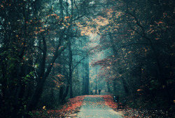 leebarguss:  Seasons (by Erik Witsoe) 