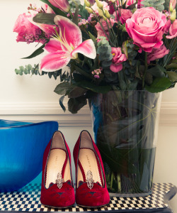 thecoveteur:  Some much Charlotte Olympia,