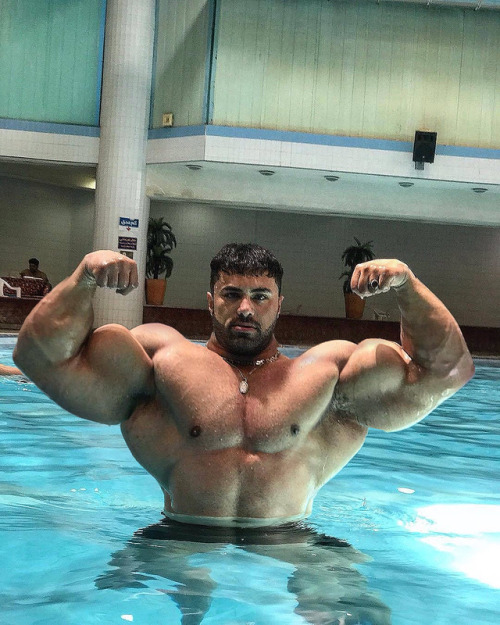 huge biceps