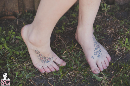 Feet [Heket, JaneSinner, Chad, Pinkdroid, Ilanna, Onyx & Annasthesia]