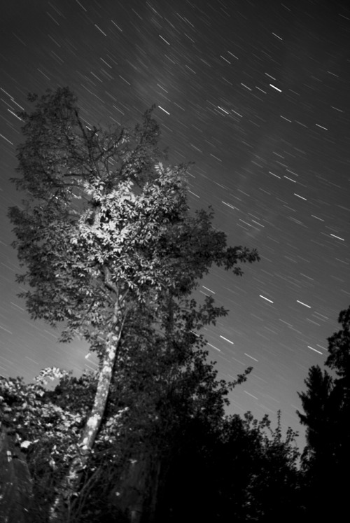 Star Trail photography Check out our work here:www.fromthelenz.com/star-trails/