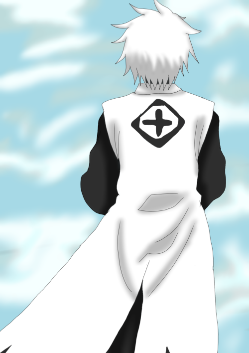 Back View Of Toshiro Hitsugaya