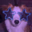 doogbowl