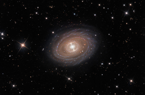 NGC 1398 in Fornax. js