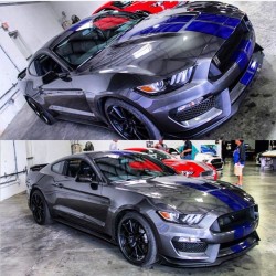 musclefords:  @igfords #ford#Mustang#SVT tag-&gt; #american_muscle_mustangs / from @mustangmannylv / the GT350 is so sic