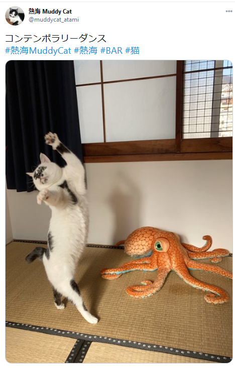 Highlandvalley:  Https://Twitter.com/Muddycat_Atami/Status/1351774773290827778