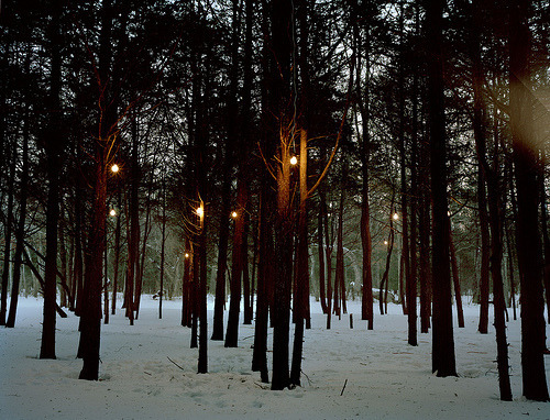 brutalgeneration:  Tumblr on We Heart It - http://weheartit.com/entry/39580733/ 