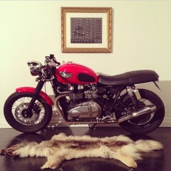 caferacerxxx:  Andrew’s @ipoonstagram #couch in #Vancouver #caferacerxxx #caferacerworld #caferacerculture