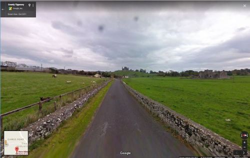 Sheep near Hoare Abbey and the Rock of Cashel (in the distance), Cashel, Co. Tipperary, Ireland Subm