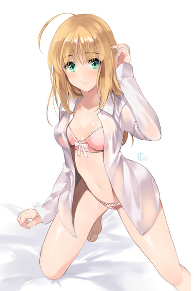 ches-collect:  「saber?saber!」/「ice」のイラスト [pixiv] 