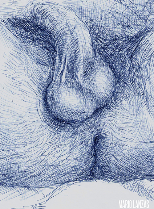 arismaverick:  MALE FRAILTY series . Pen Drawings 2010http://arismaverick.tumblr.com/For my not sexually explicit artwork visit: http://mariolanzas.tumblr.com/