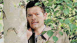 stardustsam:THE SUPERNATURAL GIF CHALLENGE |  stardustsam vs @merlinssRound 30 | Season 12 | Favorit